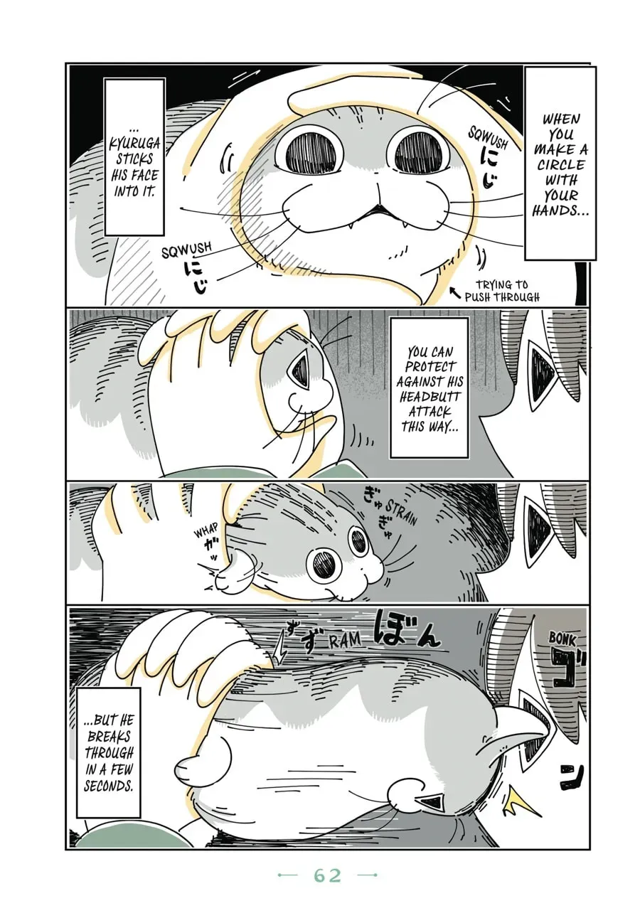 Nights With a Cat Chapter 46 page 3 - 