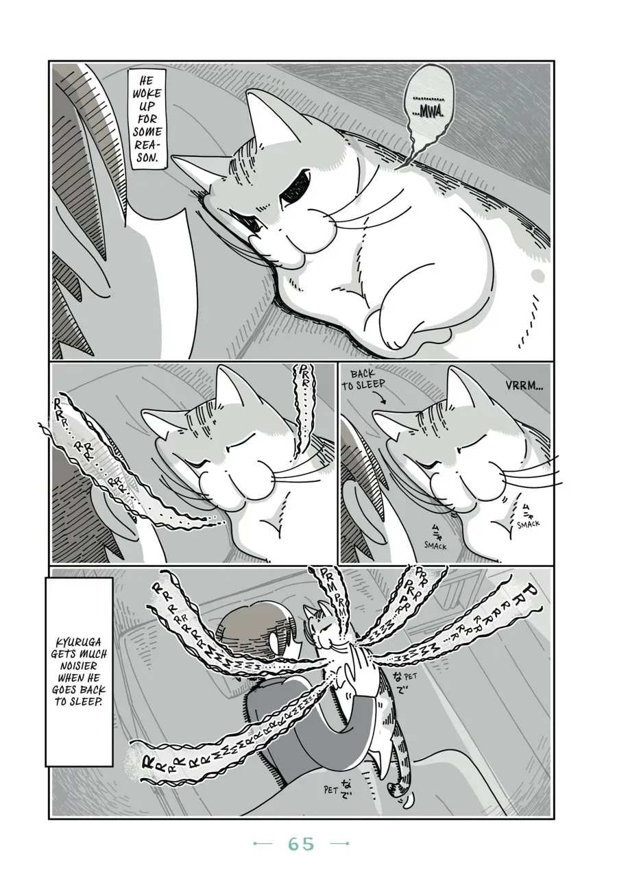 Nights With a Cat Chapter 47 page 3 - 