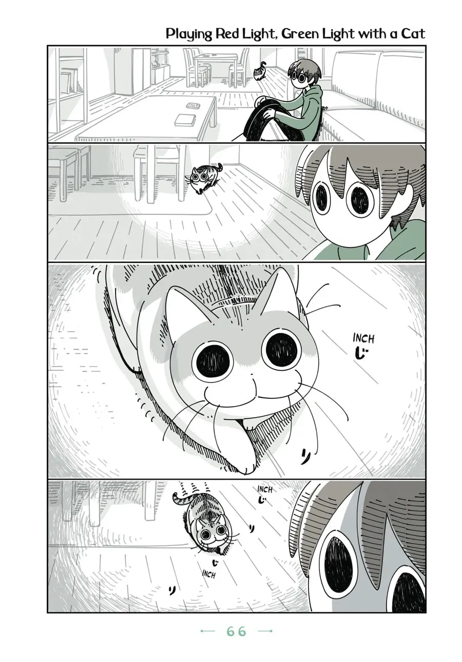 Nights With a Cat Chapter 48 page 1 - 