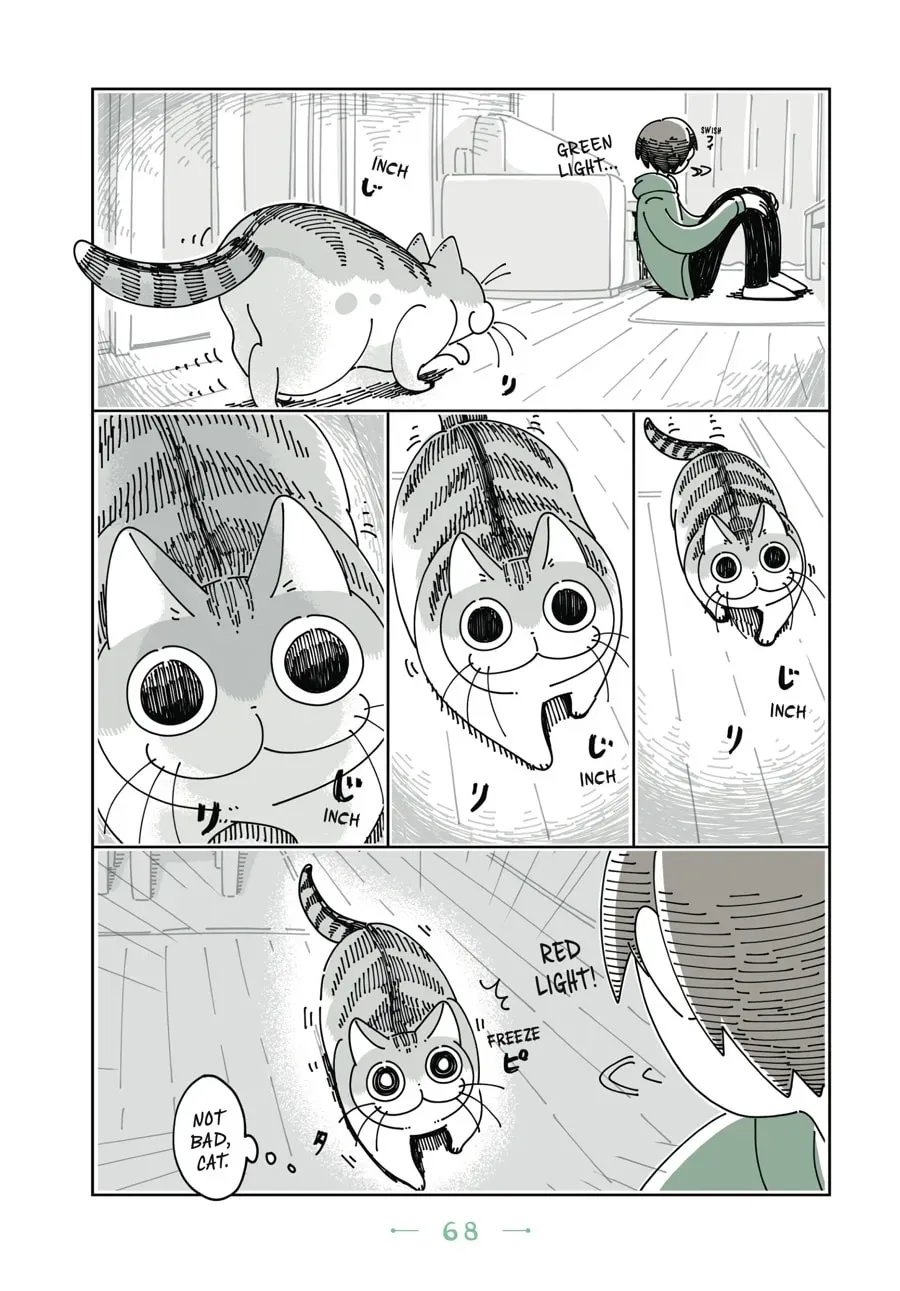 Nights With a Cat Chapter 48 page 3 - 