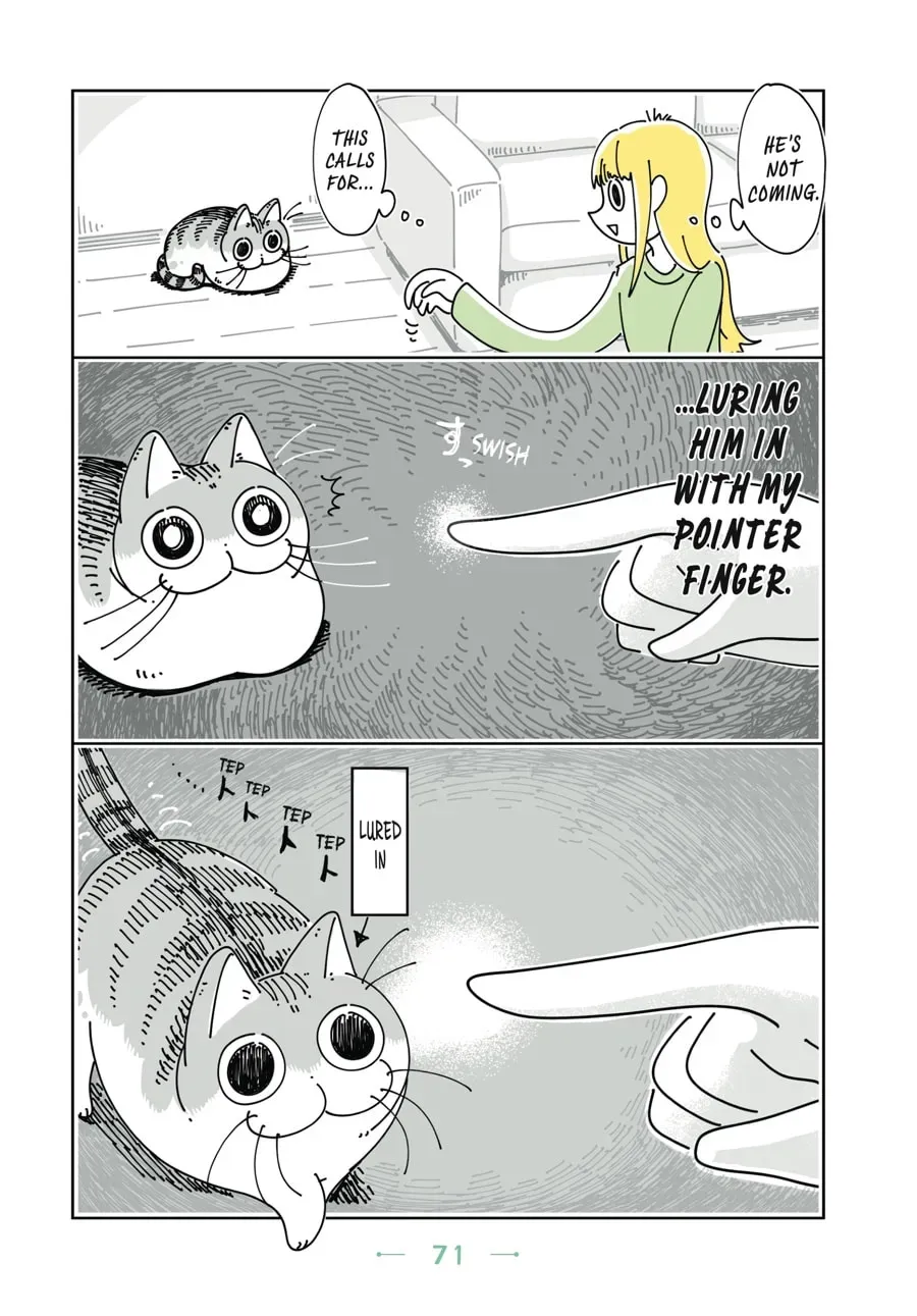 Nights With a Cat Chapter 49 page 2 - 