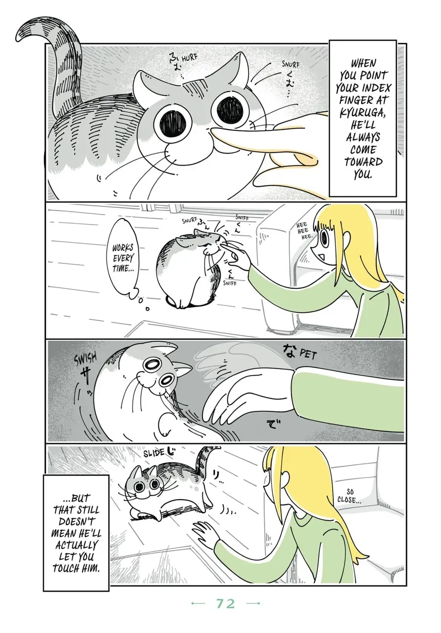 Nights With a Cat Chapter 49 page 3 - 
