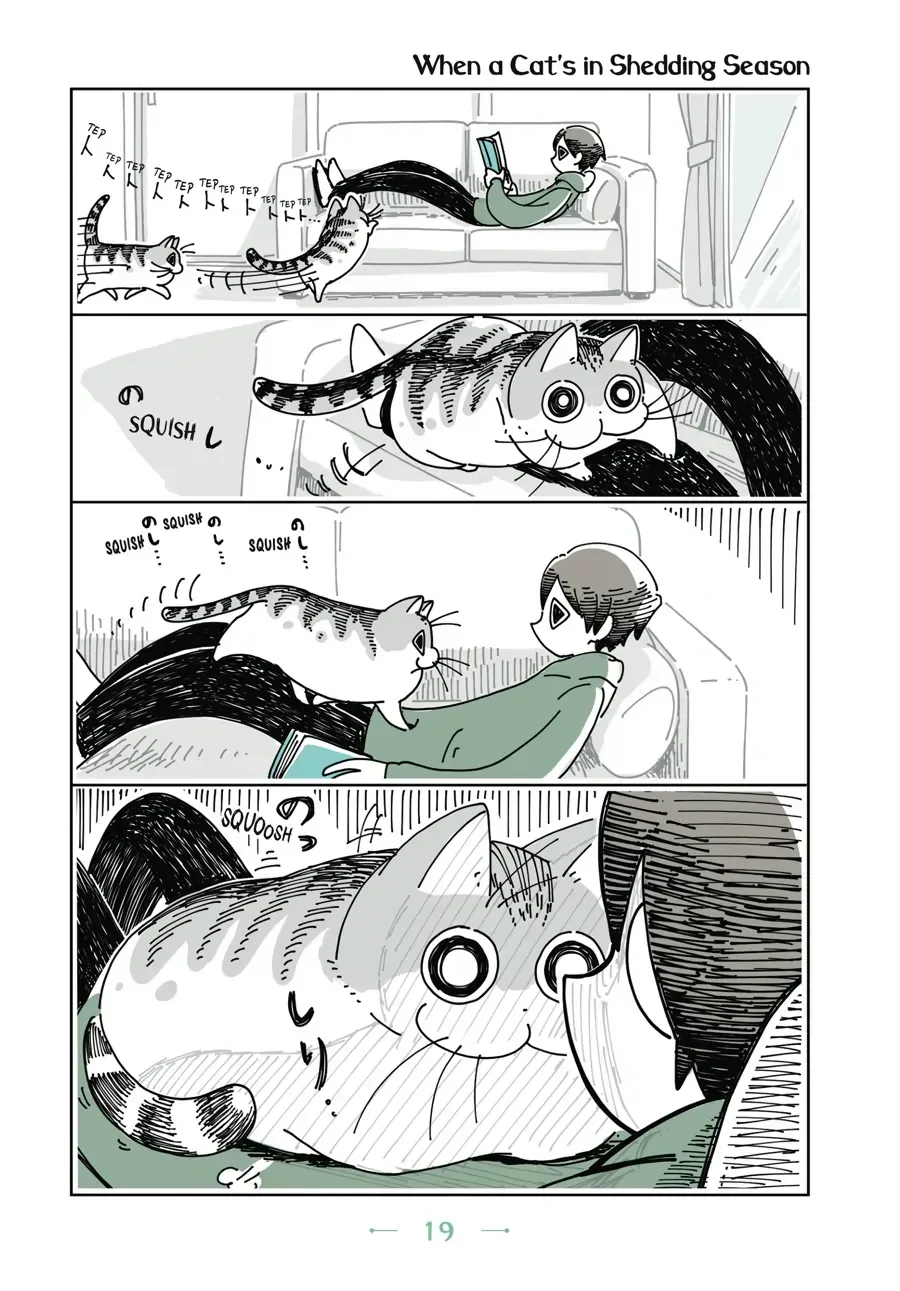 Nights With a Cat Chapter 5.1 page 1 - 