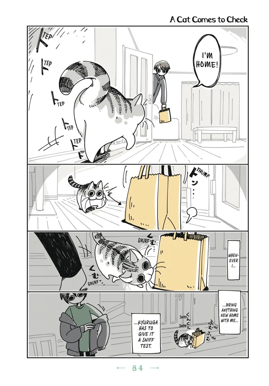 Nights With a Cat Chapter 5 page 1 - 