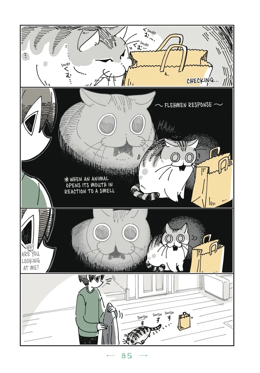 Nights With a Cat Chapter 5 page 2 - 