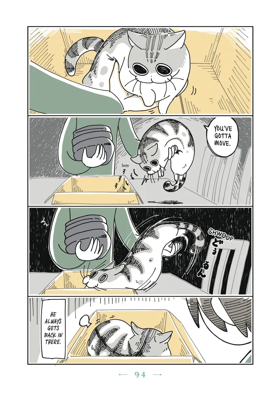 Nights With a Cat Chapter 5 page 11 - 