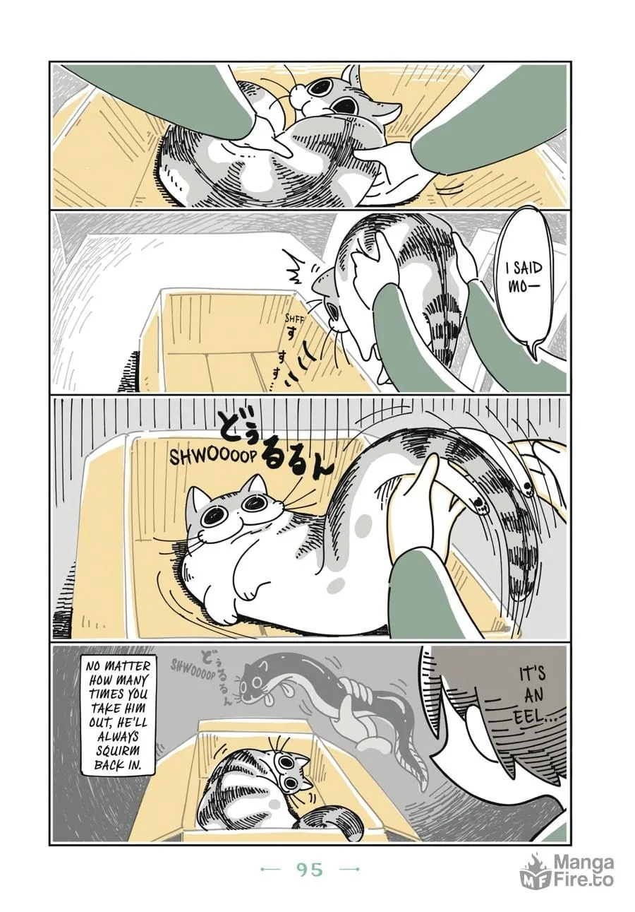 Nights With a Cat Chapter 5 page 12 - 