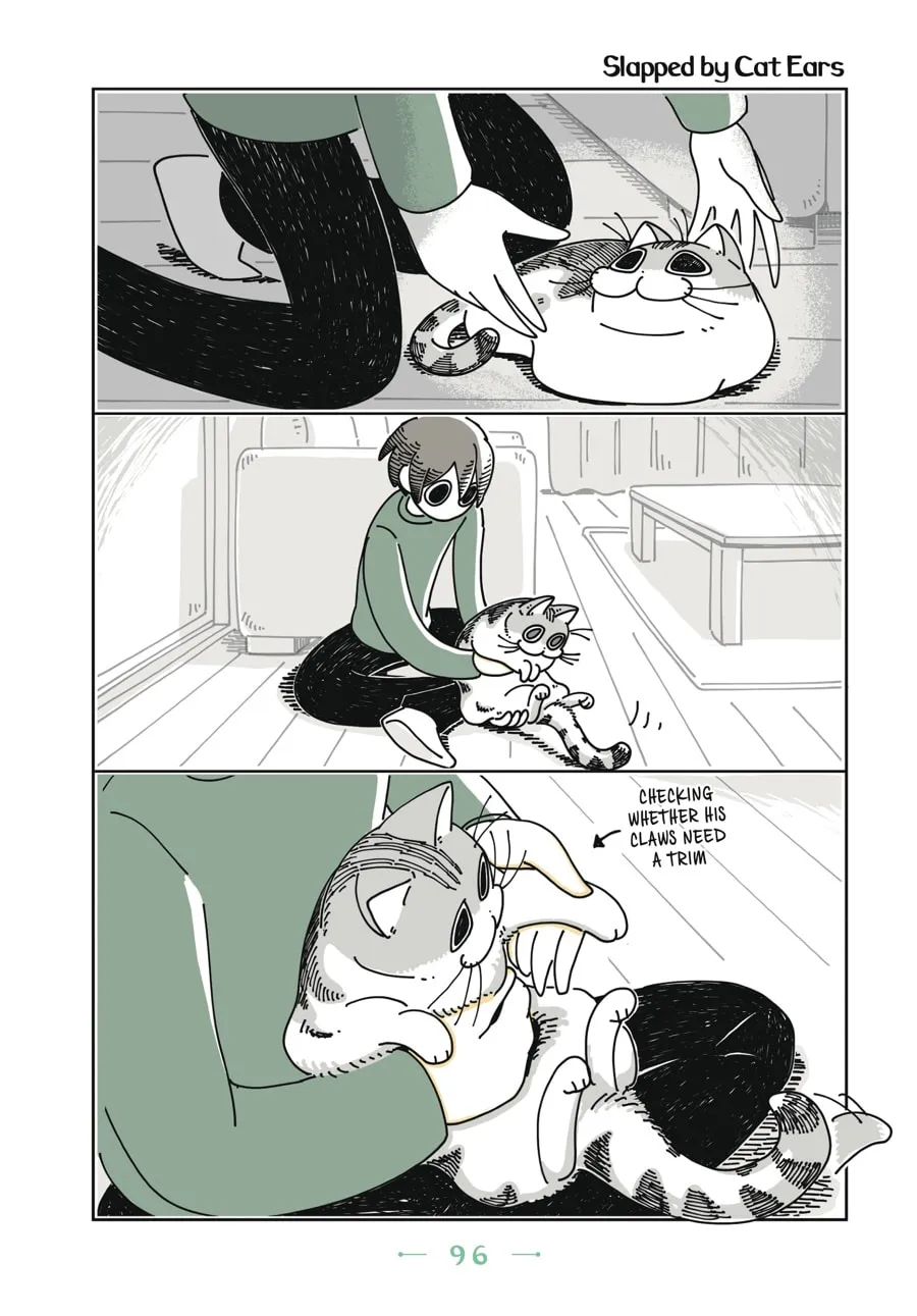 Nights With a Cat Chapter 5 page 13 - 