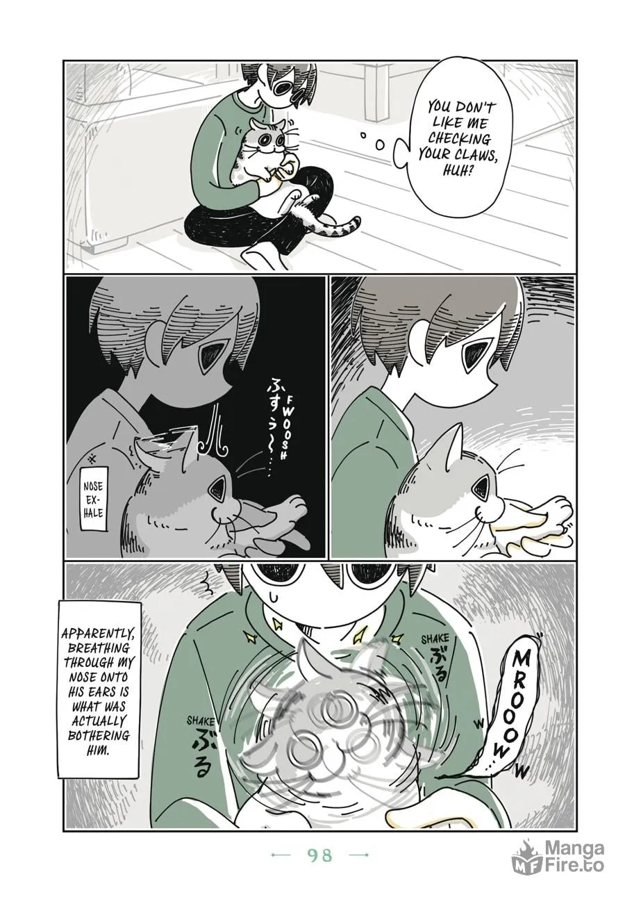Nights With a Cat Chapter 5 page 15 - 
