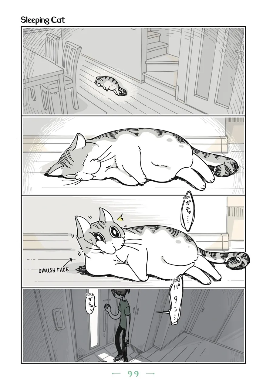 Nights With a Cat Chapter 5 page 16 - 