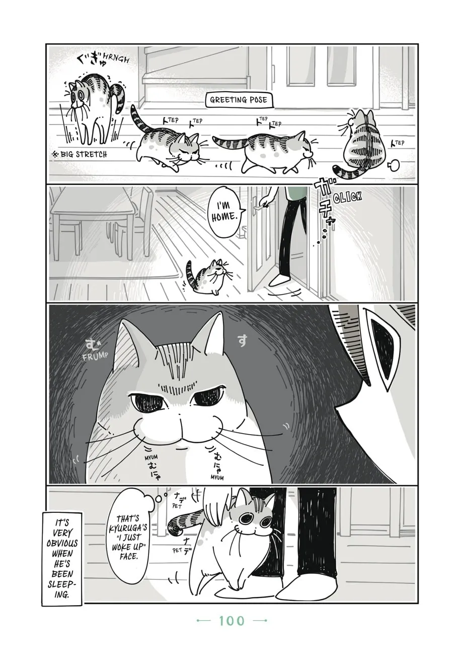Nights With a Cat Chapter 5 page 17 - 