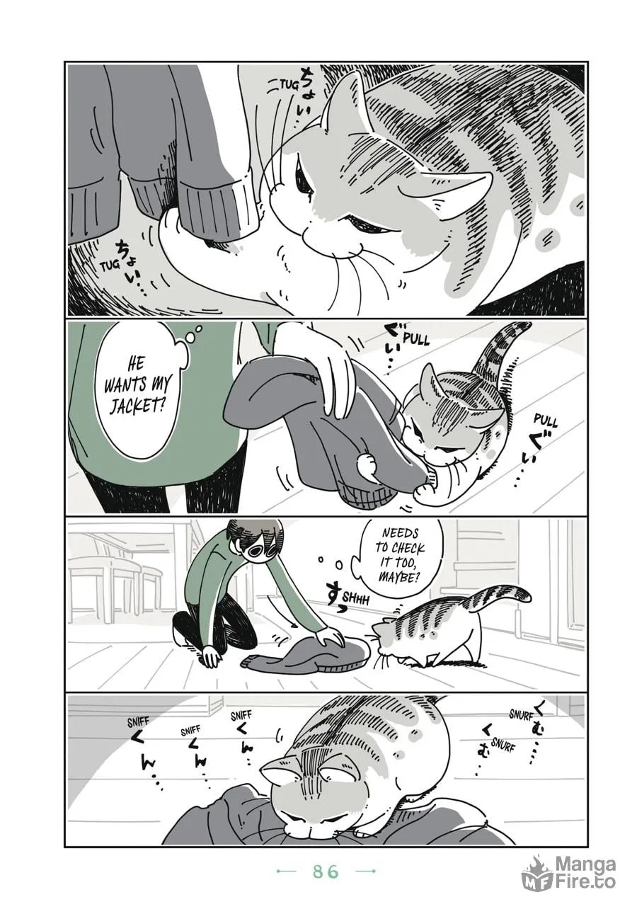 Nights With a Cat Chapter 5 page 3 - 