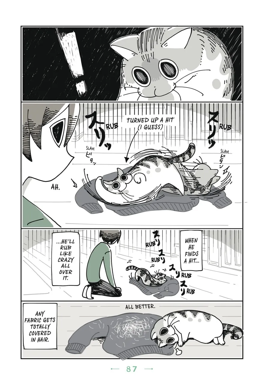 Nights With a Cat Chapter 5 page 4 - 