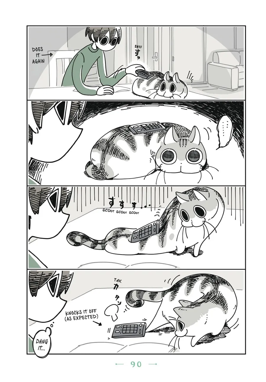 Nights With a Cat Chapter 5 page 7 - 