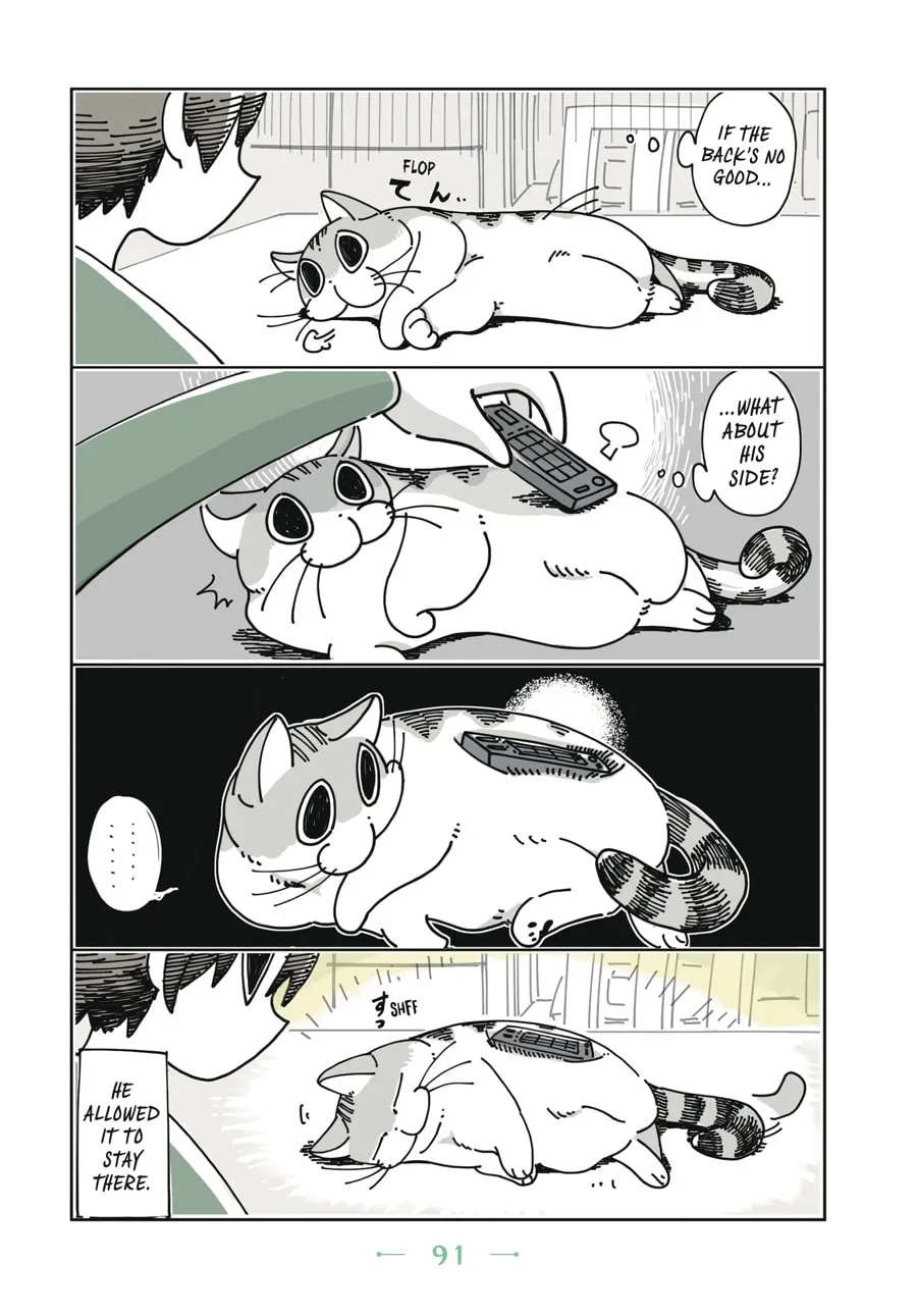 Nights With a Cat Chapter 5 page 8 - 