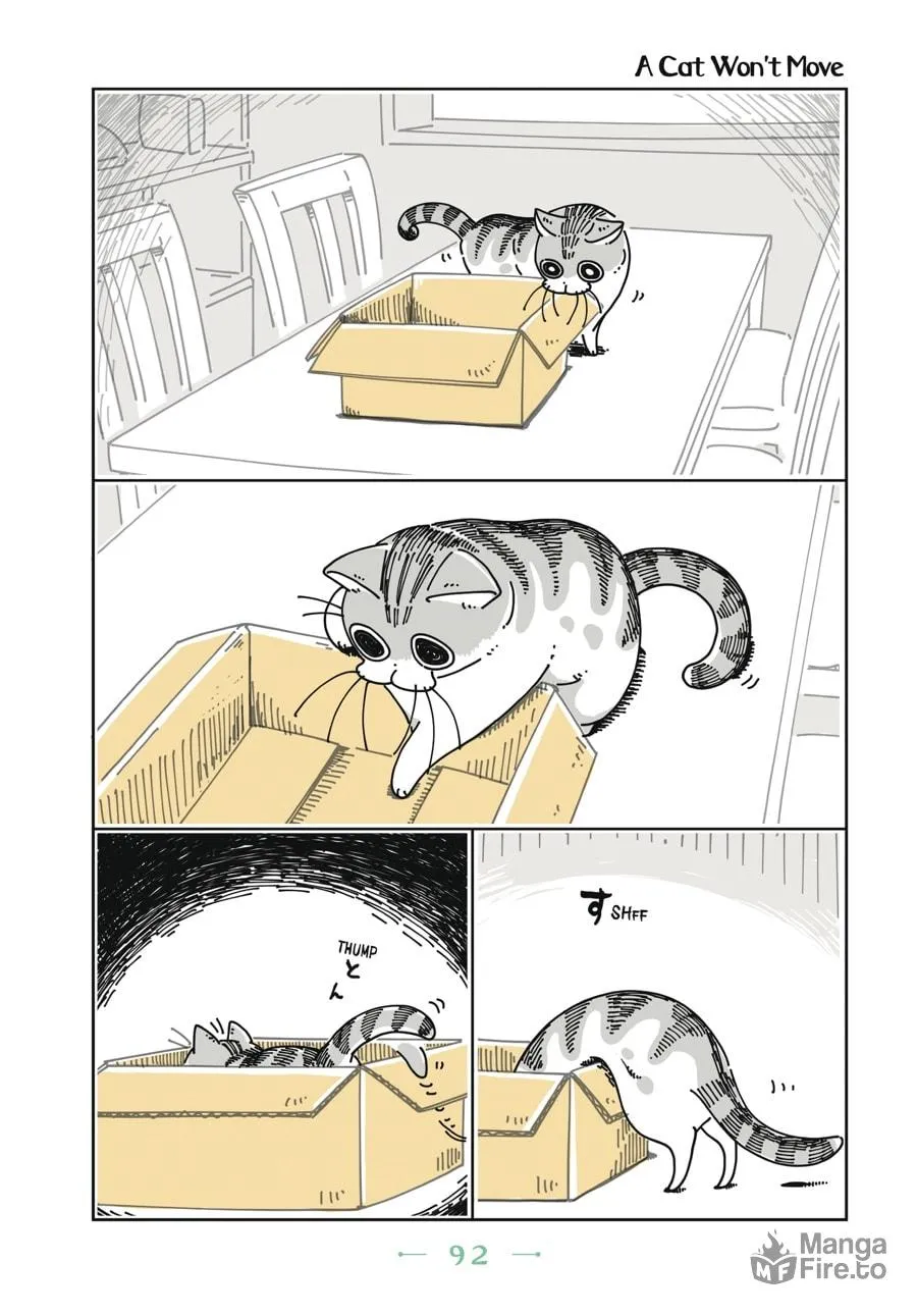 Nights With a Cat Chapter 5 page 9 - 