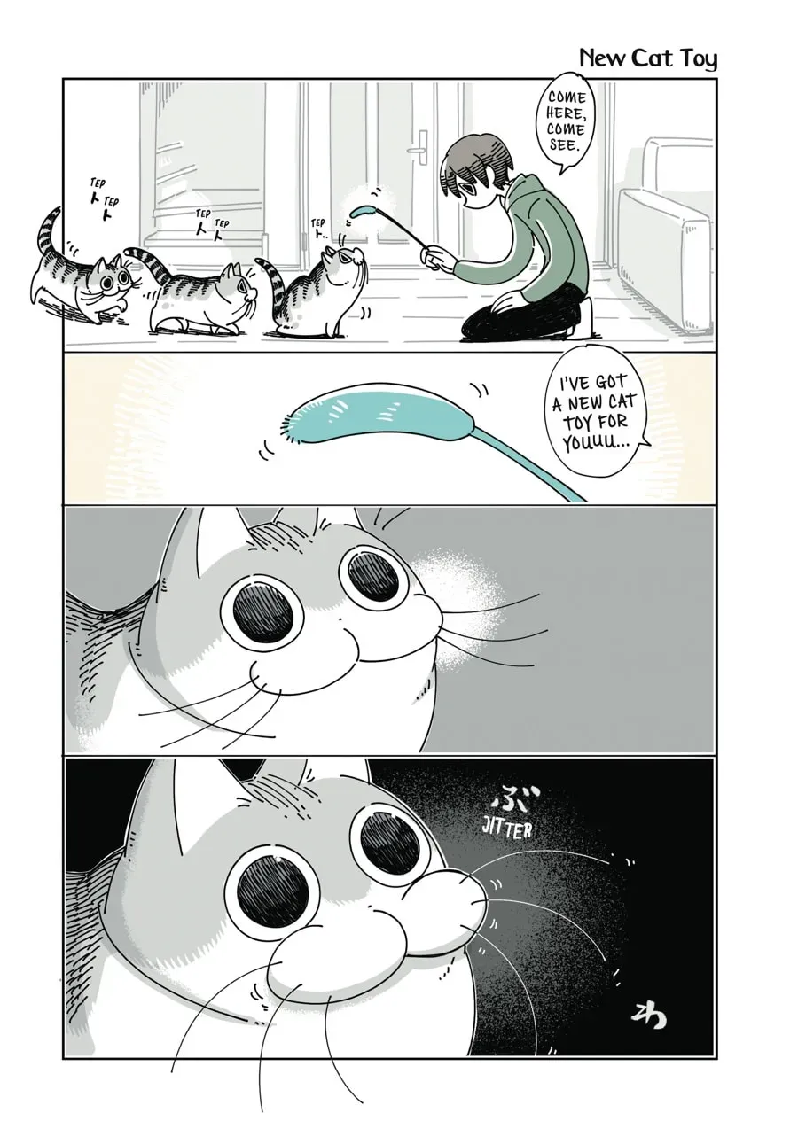 Nights With a Cat Chapter 50 page 1 - 