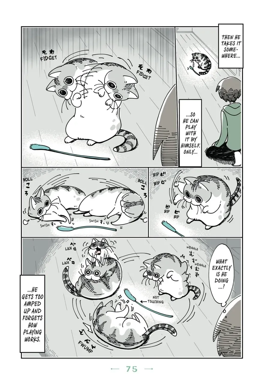 Nights With a Cat Chapter 50 page 3 - 