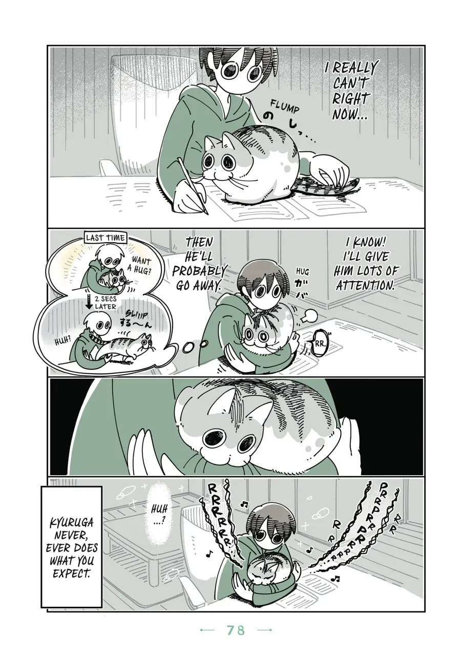 Nights With a Cat Chapter 51 page 3 - 
