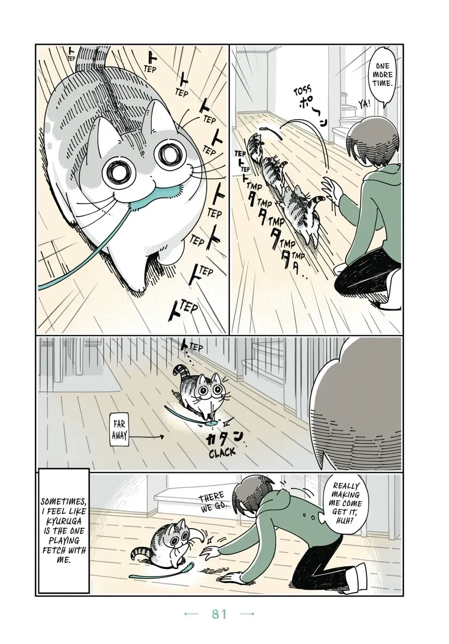 Nights With a Cat Chapter 52 page 3 - 