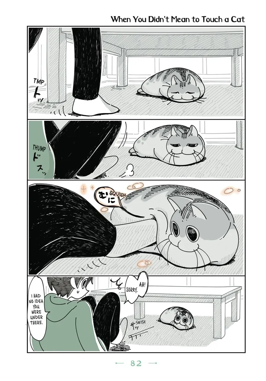 Nights With a Cat Chapter 53 page 1 - 