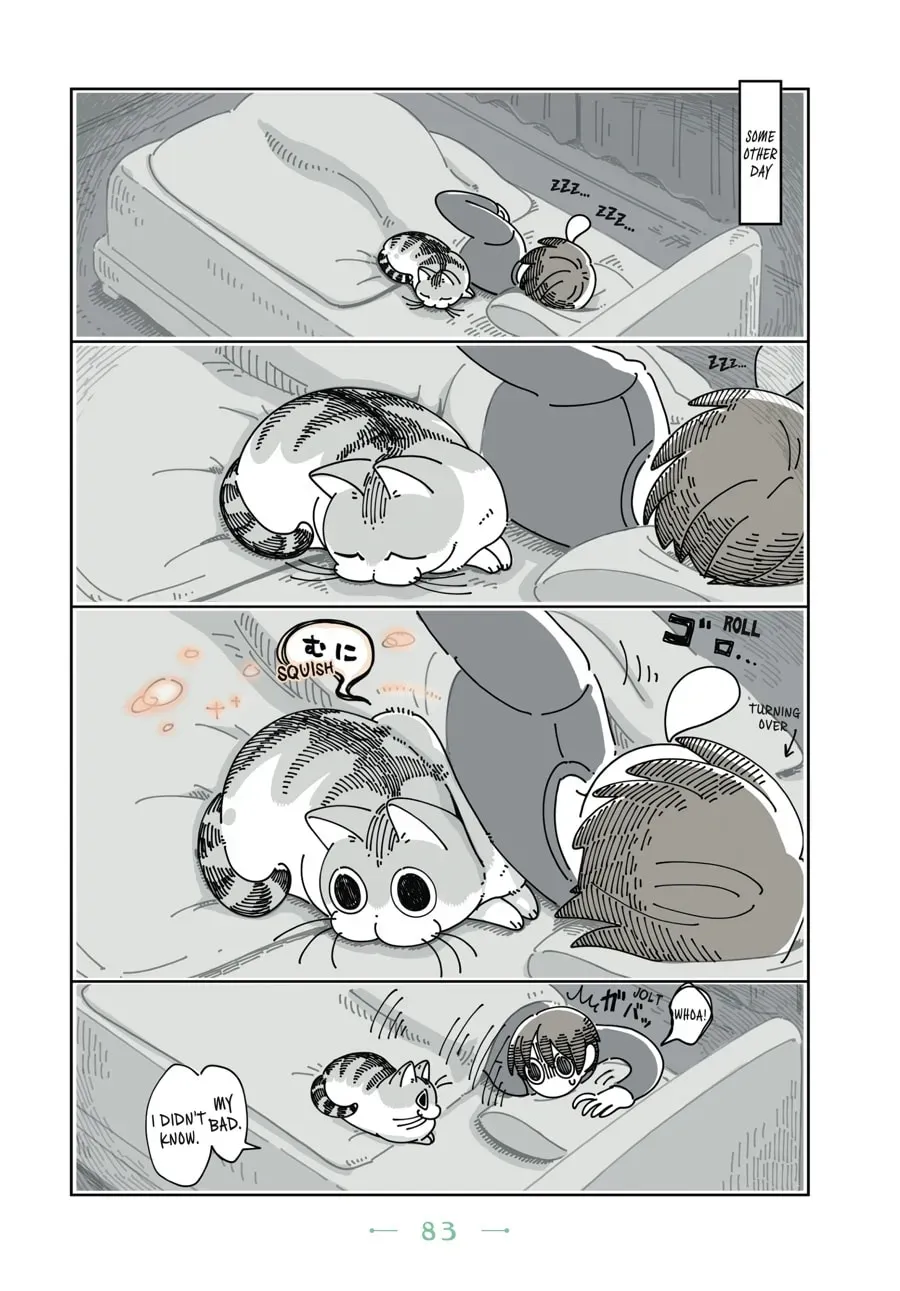 Nights With a Cat Chapter 53 page 2 - 