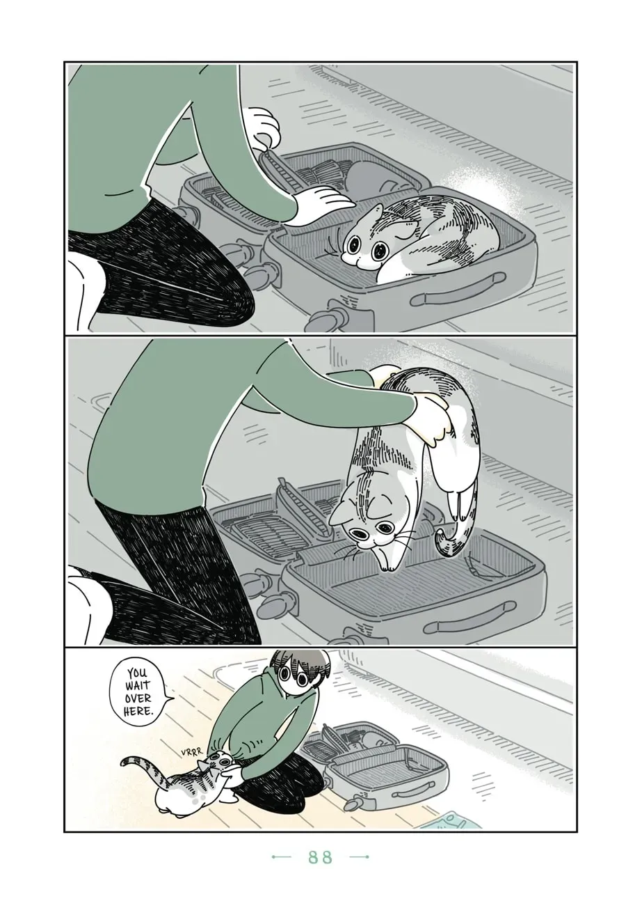 Nights With a Cat Chapter 54 page 3 - 
