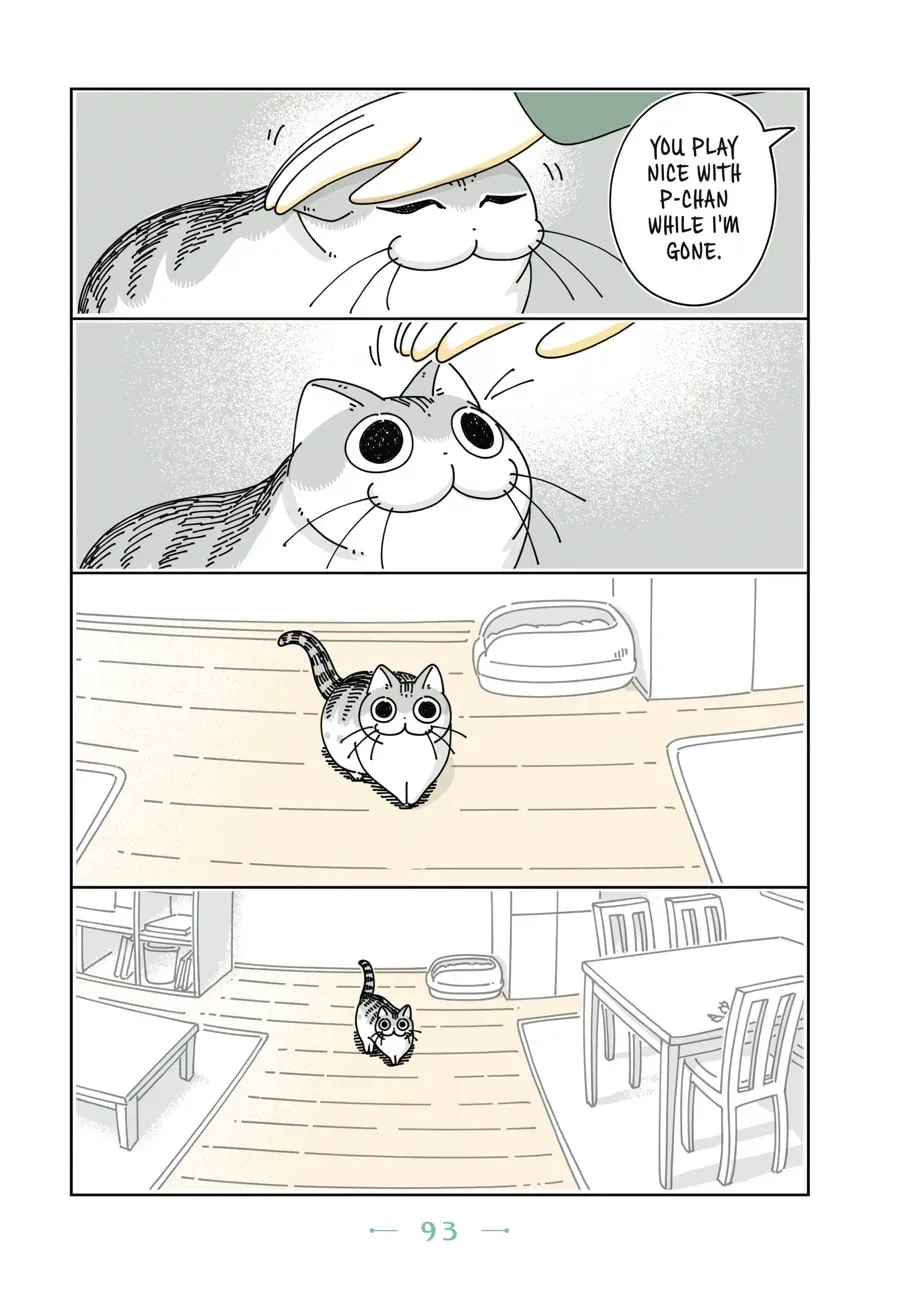 Nights With a Cat Chapter 55 page 2 - 