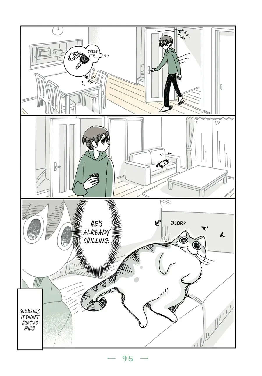 Nights With a Cat Chapter 55 page 4 - 