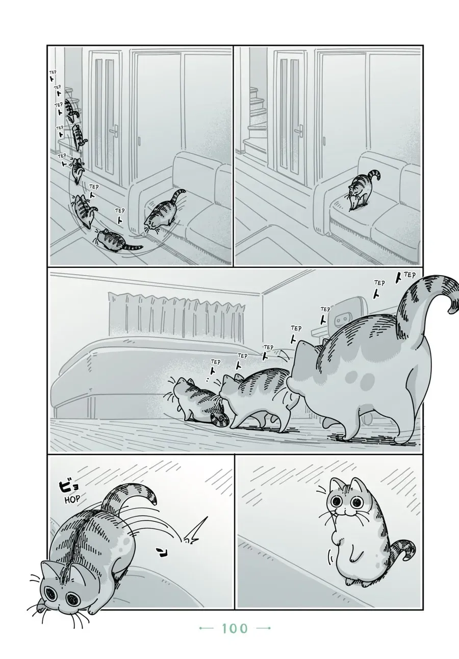 Nights With a Cat Chapter 56 page 5 - 
