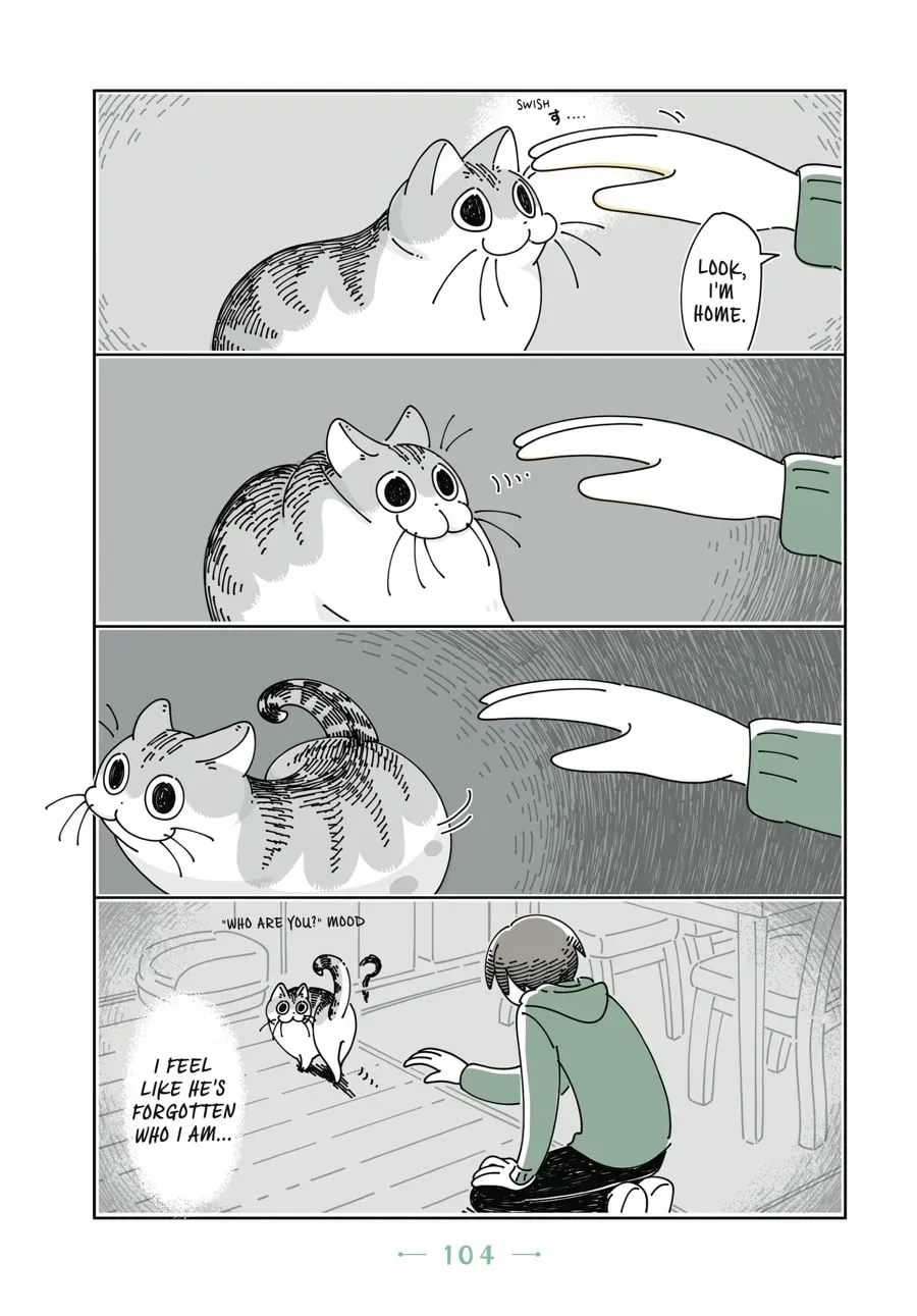 Nights With a Cat Chapter 57 page 3 - 
