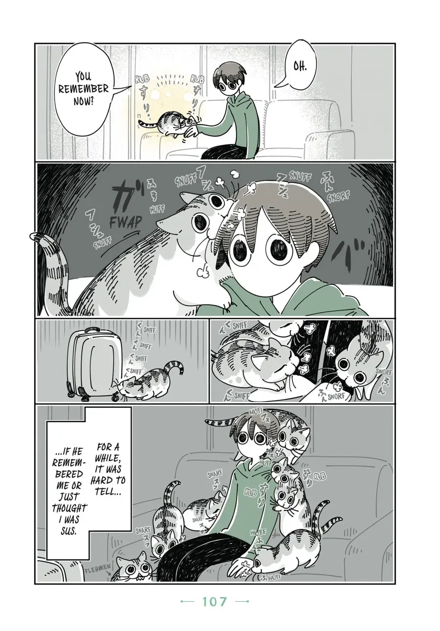 Nights With a Cat Chapter 57 page 6 - 