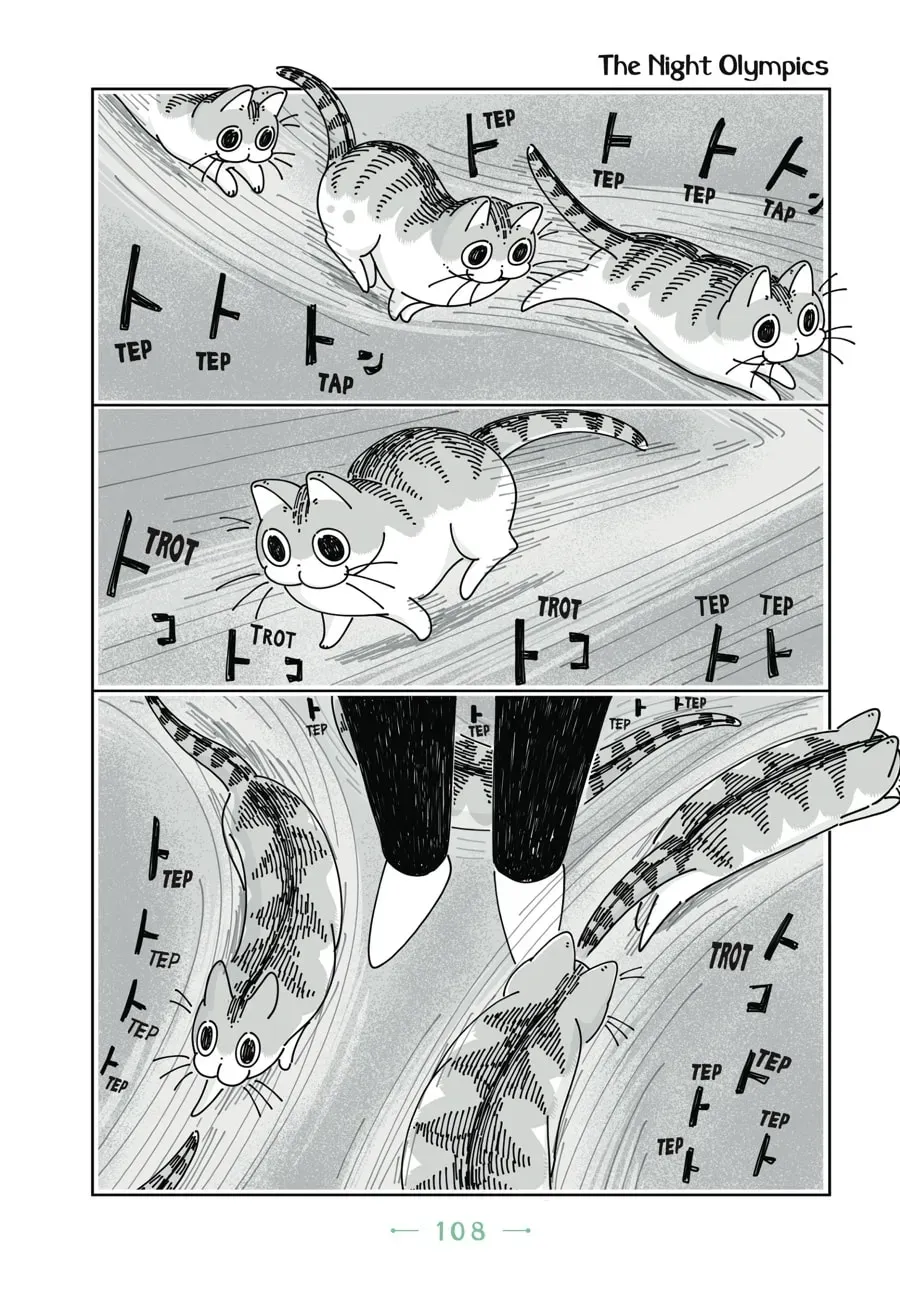 Nights With a Cat Chapter 58 page 1 - 