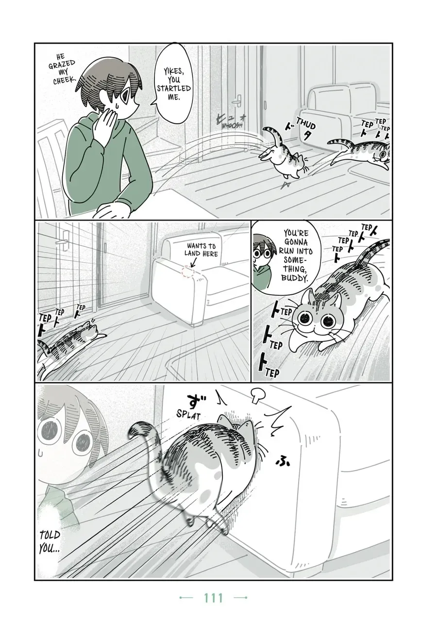 Nights With a Cat Chapter 58 page 4 - 