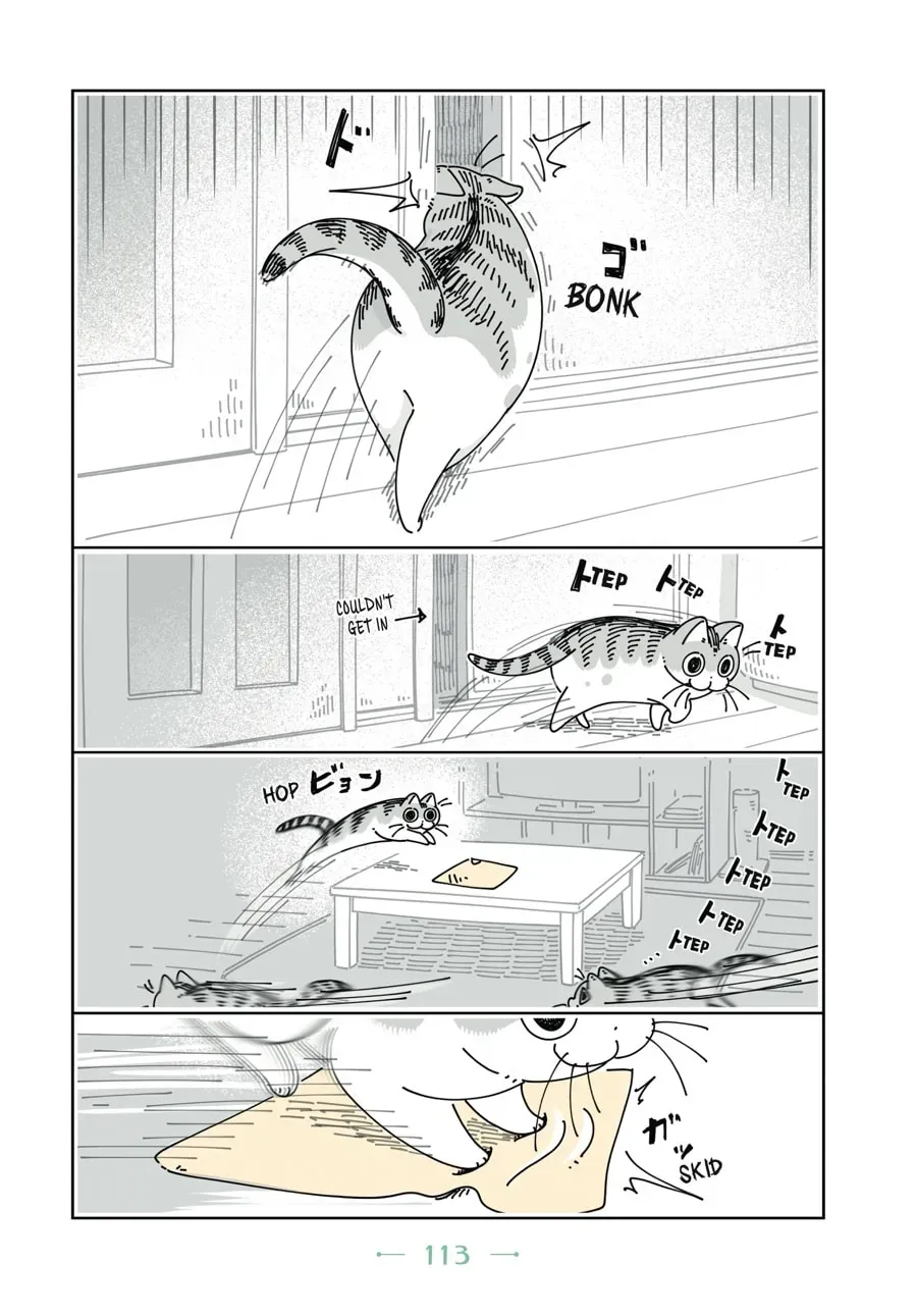 Nights With a Cat Chapter 58 page 6 - 