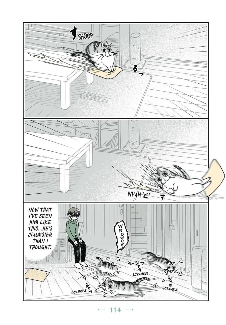 Nights With a Cat Chapter 58 page 7 - 