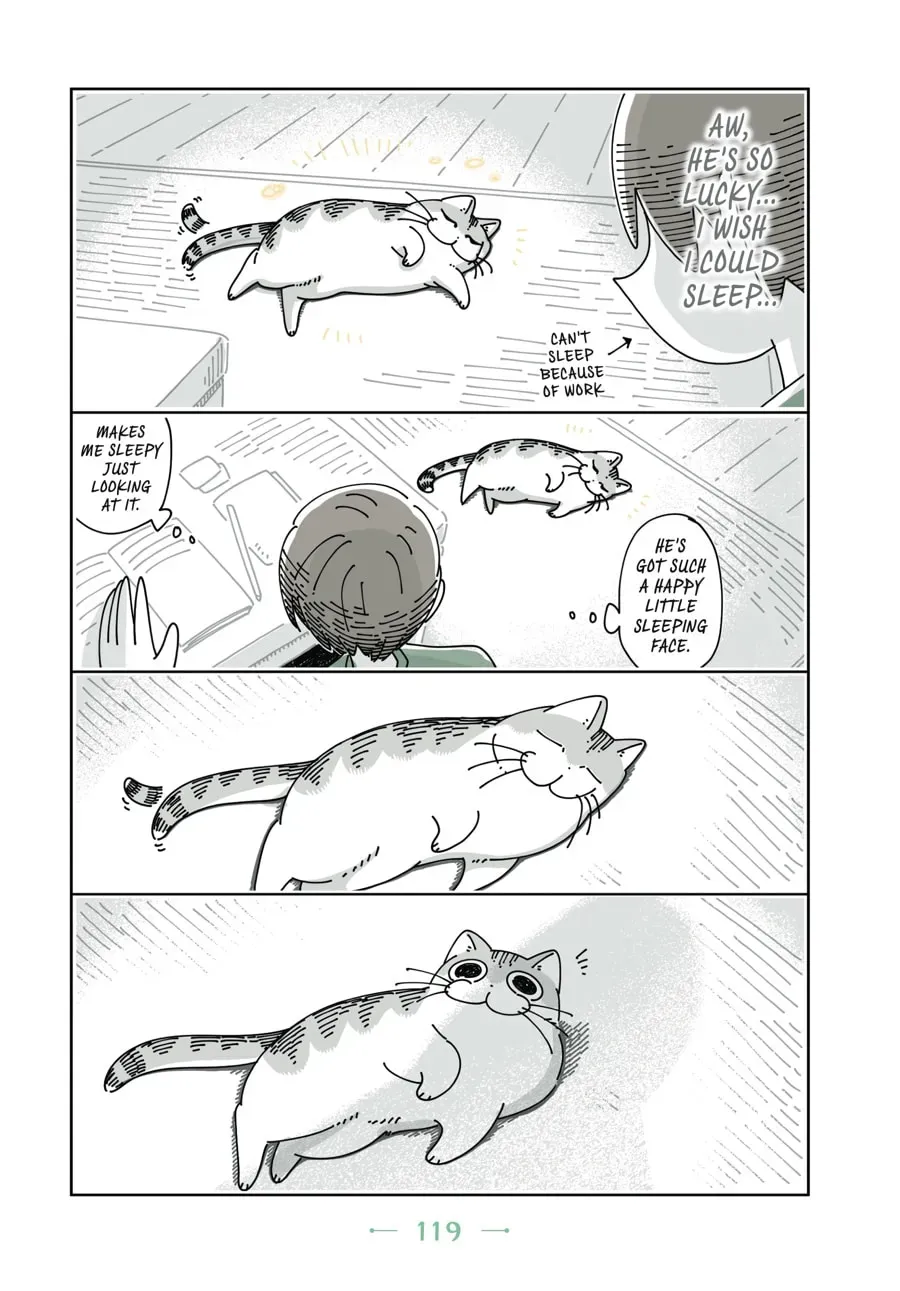 Nights With a Cat Chapter 59 page 3 - 
