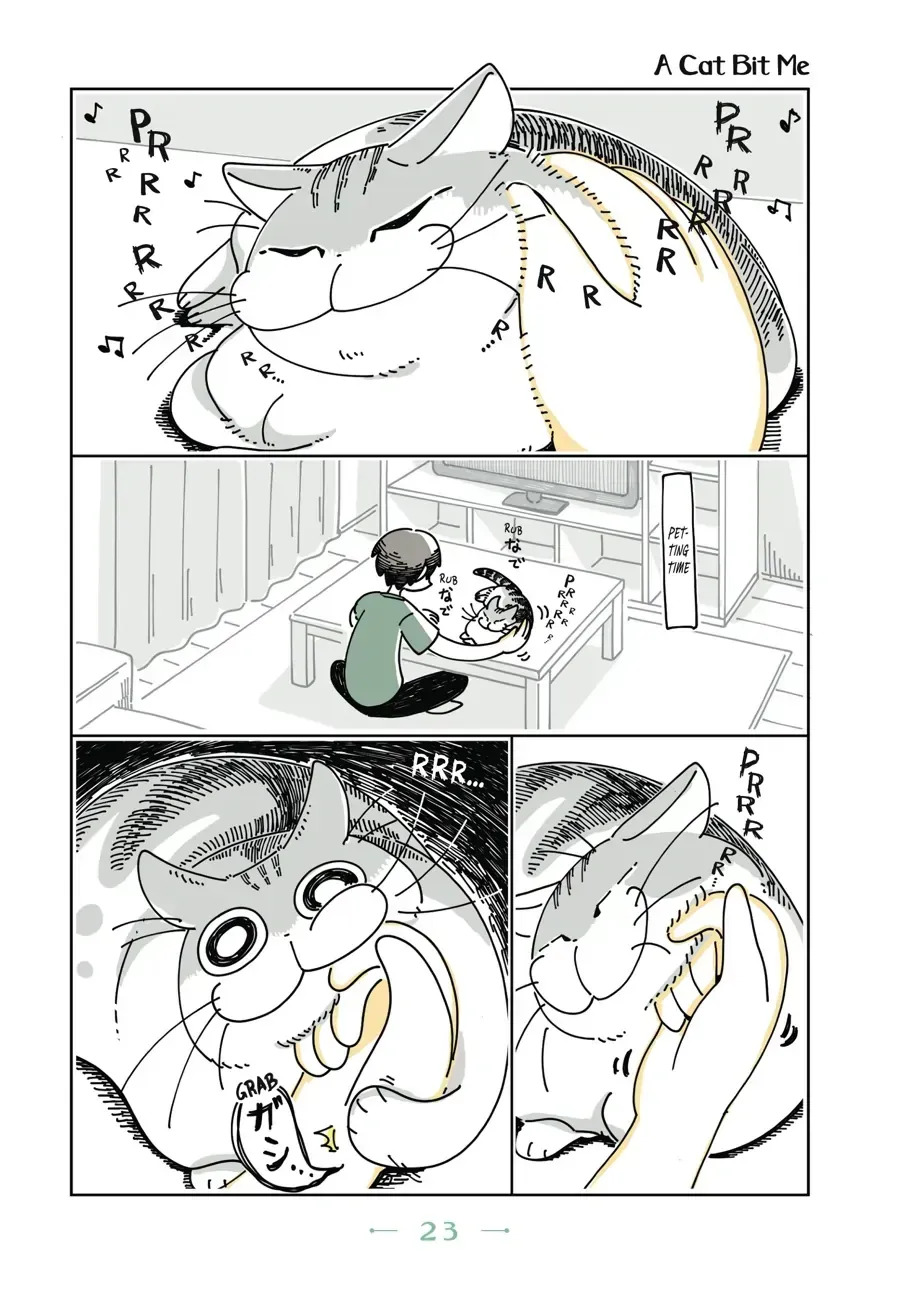 Nights With a Cat Chapter 6.1 page 1 - 