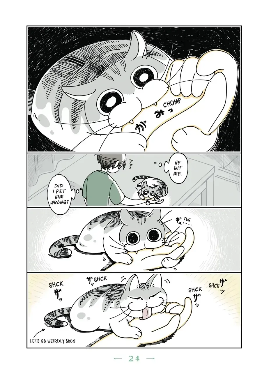 Nights With a Cat Chapter 6.1 page 2 - 