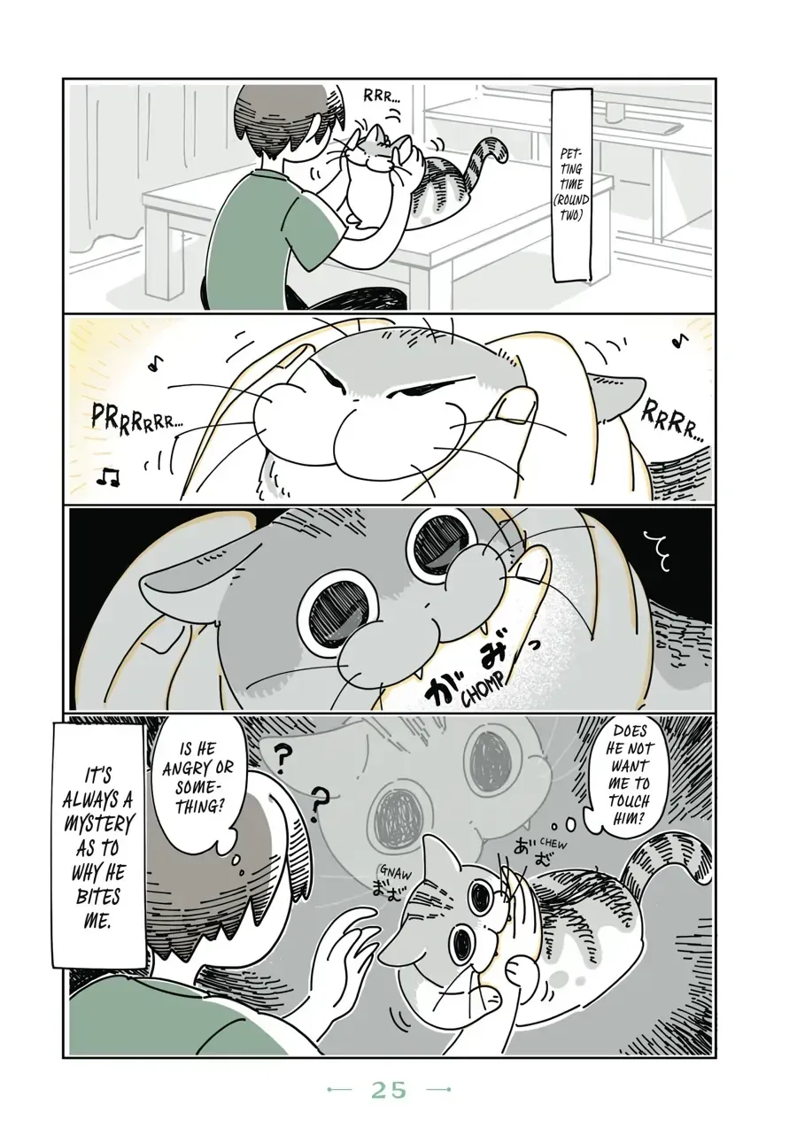 Nights With a Cat Chapter 6.1 page 3 - 