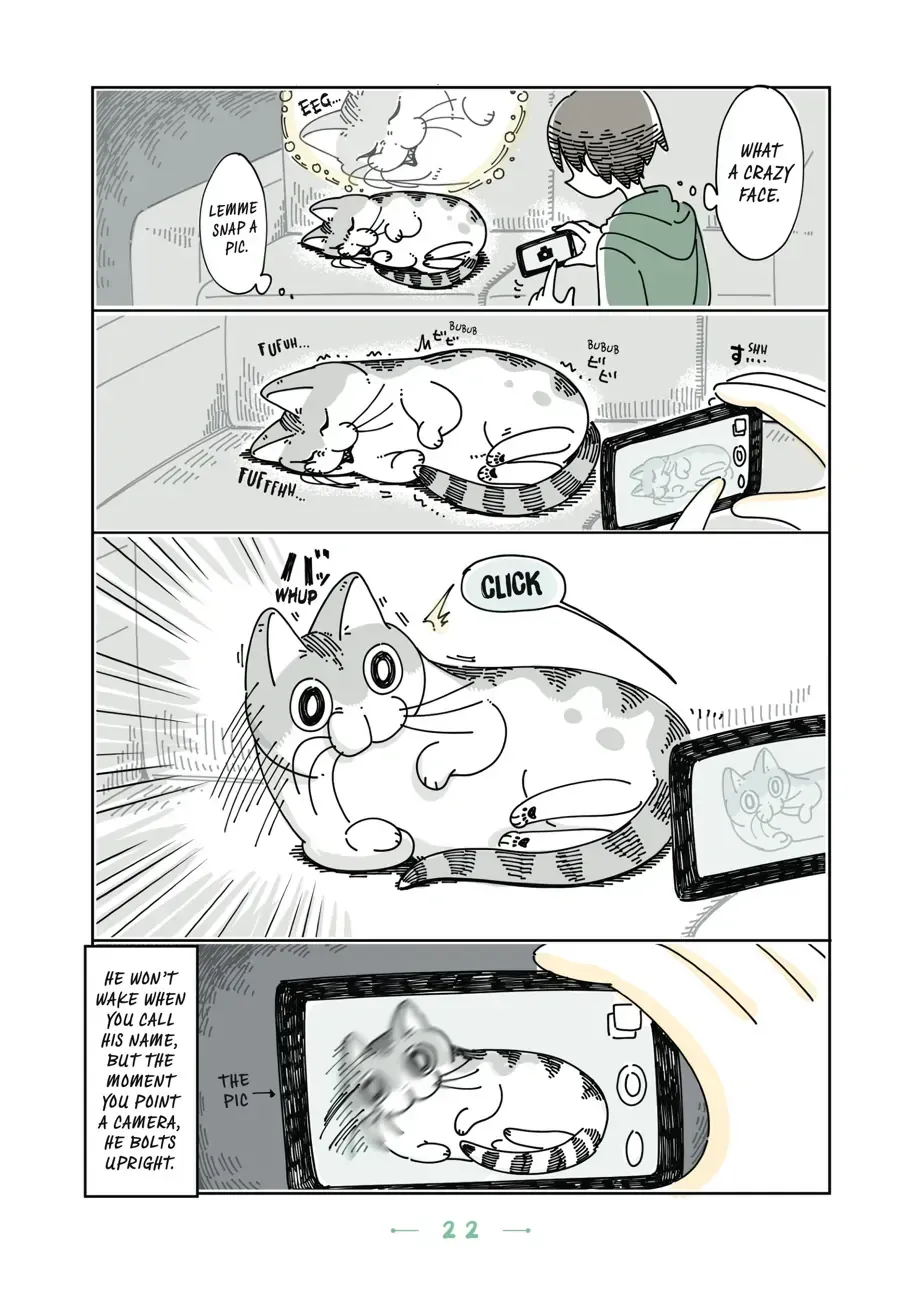 Nights With a Cat Chapter 6.2 page 3 - 