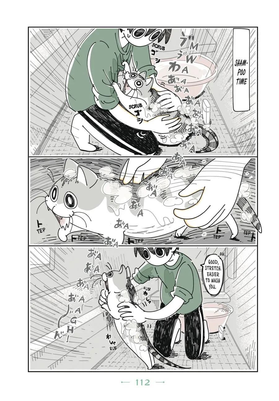Nights With a Cat Chapter 6 page 11 - 