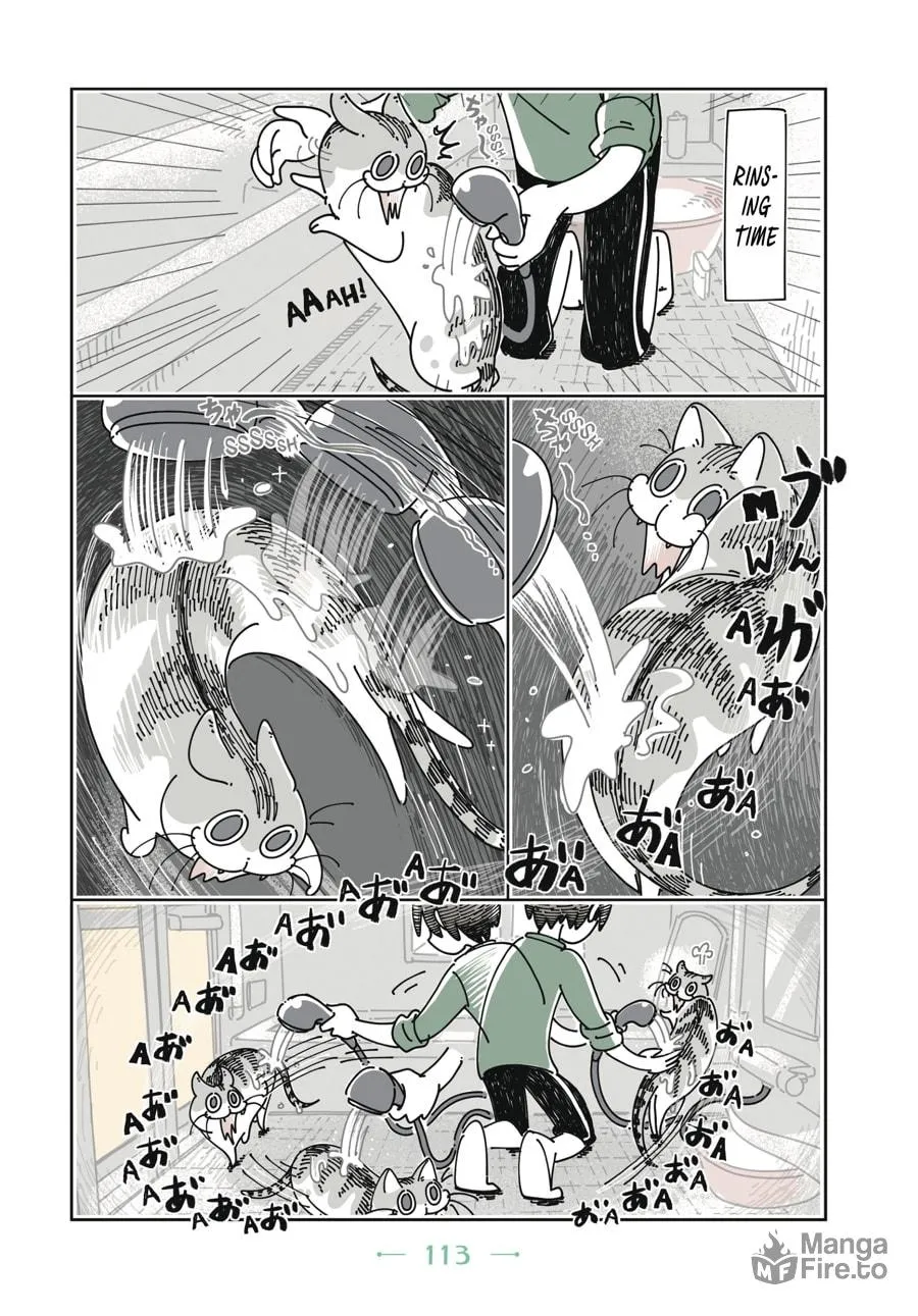 Nights With a Cat Chapter 6 page 12 - 