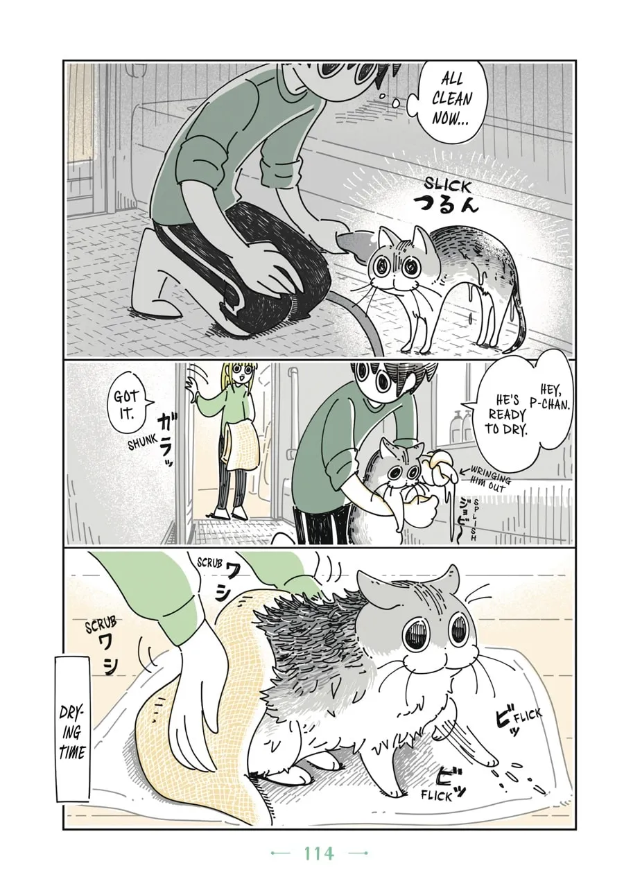 Nights With a Cat Chapter 6 page 13 - 