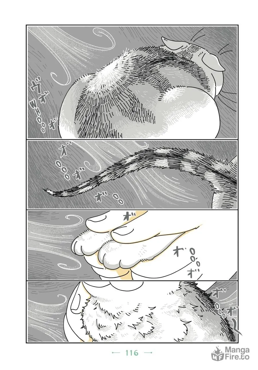 Nights With a Cat Chapter 6 page 15 - 