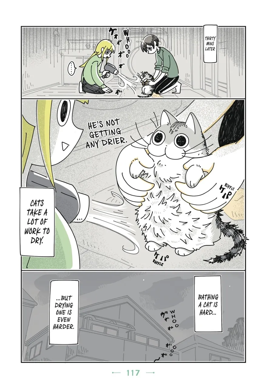 Nights With a Cat Chapter 6 page 16 - 