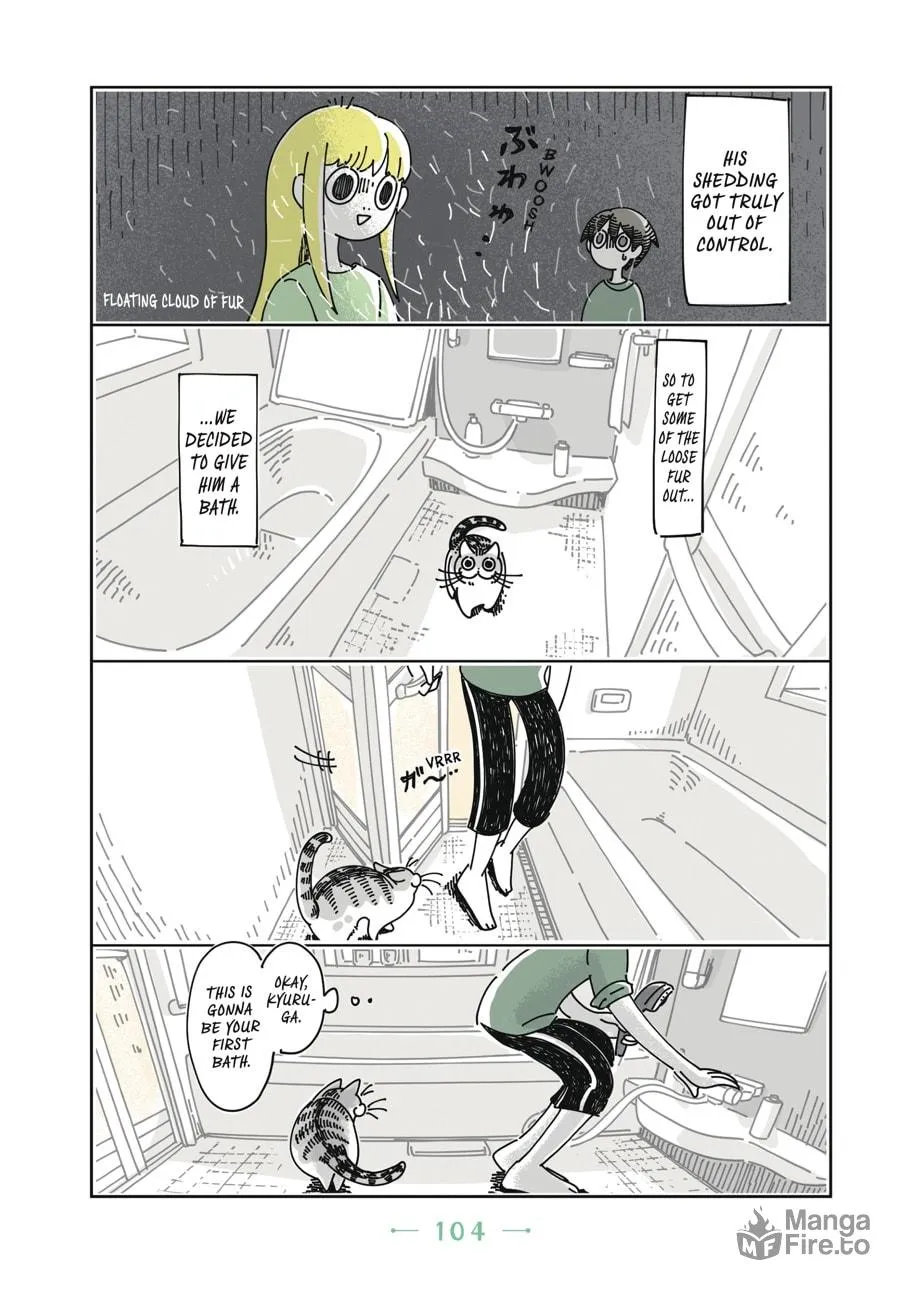 Nights With a Cat Chapter 6 page 3 - 
