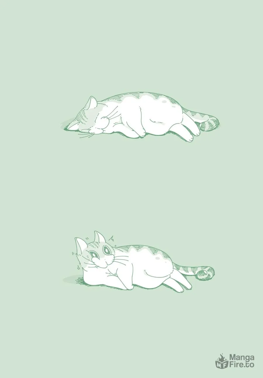Nights With a Cat Chapter 6 page 27 - 