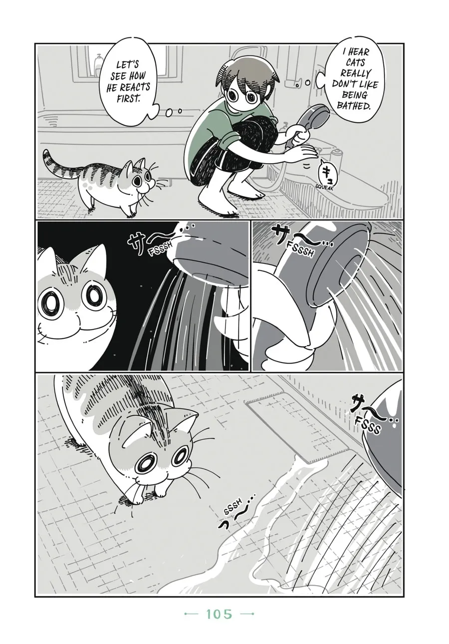 Nights With a Cat Chapter 6 page 4 - 