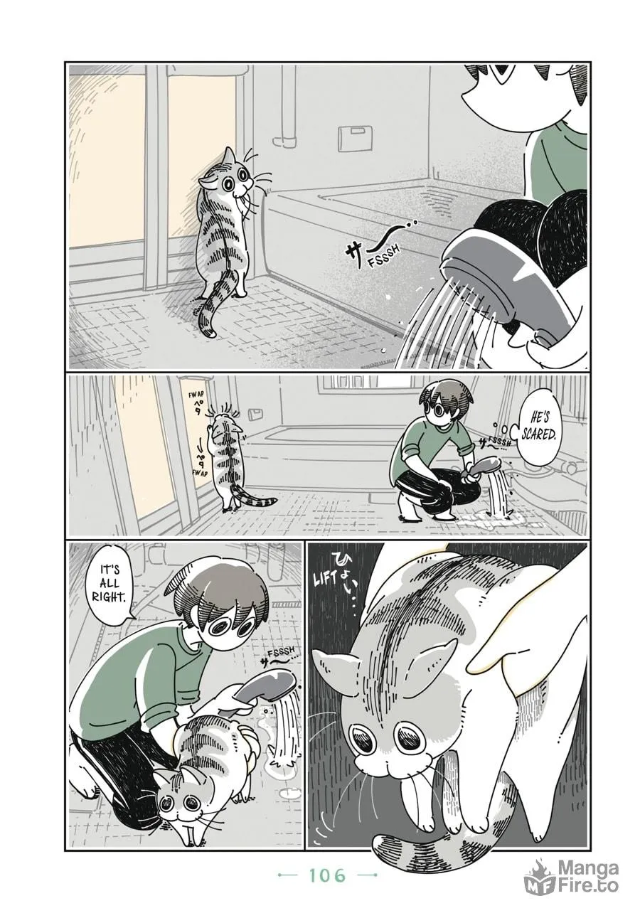 Nights With a Cat Chapter 6 page 5 - 